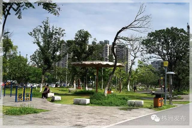 独家：出门赏美景/进园搞锻炼期待这么惬意的株洲生活！