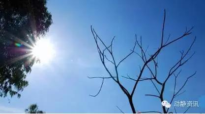 谨防网络诈骗这种短信千万别信,警惕短信通知航班取消新骗局