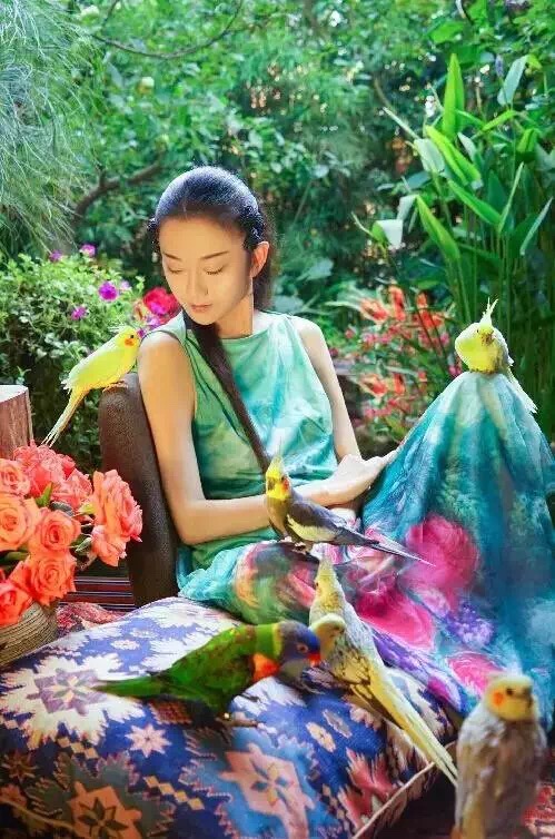 杨丽萍的太阳宫是在泸沽湖吗,鲁豫采访杨丽萍的太阳宫视频