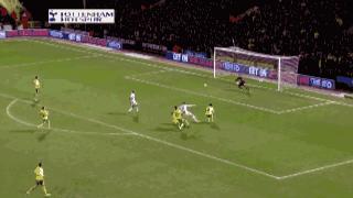 大圣贝尔庆祝原视频,大圣贝尔来中超