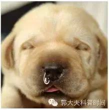 2016年生孩子手续,生猴宝宝的视频