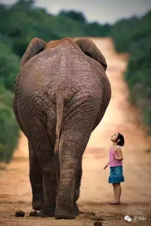 2018最值得去的九个地方,2018年最值得去的旅游省份