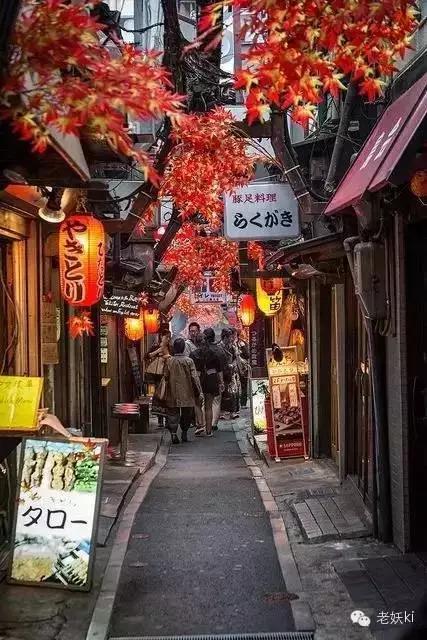 2018最值得去的九个地方,2018年最值得去的旅游省份