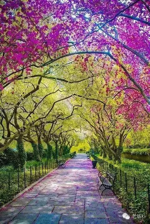 2018最值得去的九个地方,2018年最值得去的旅游省份