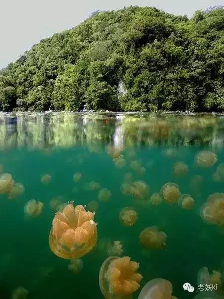 2018最值得去的九个地方,2018年最值得去的旅游省份