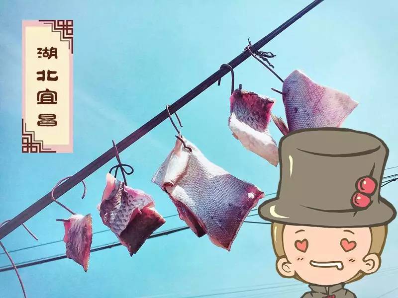 东西南北过大年视频,东西南北过大年完整版