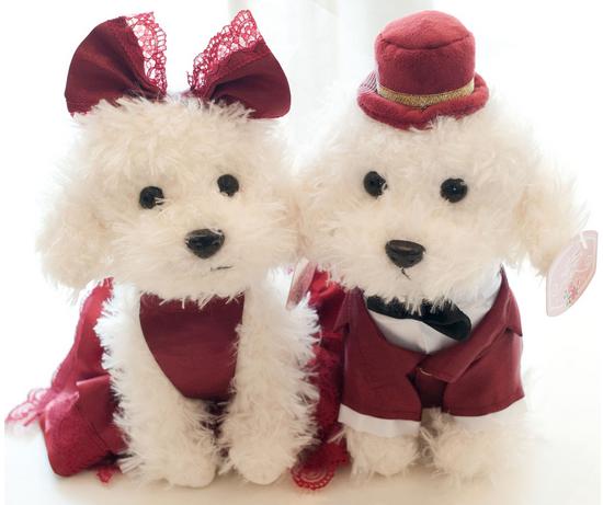 宠物狗全教程,宠物狗精彩讲解