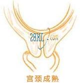 分娩前兆有哪些,啥叫分娩前的前兆