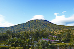 哥斯达黎加有哪些红色的花,哥斯达黎加月季花