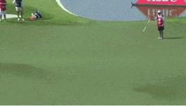 史上最全判读果岭*法大**，和三推说再见