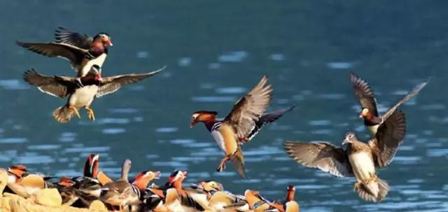 最美湖泊排名,云南9大高原湖泊