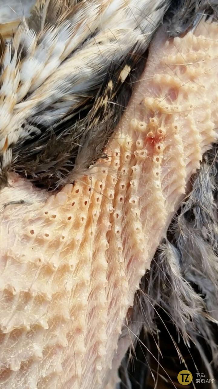 看完这16组图才知道时间有多可怕,看时间长了密集恐惧症都要治好了