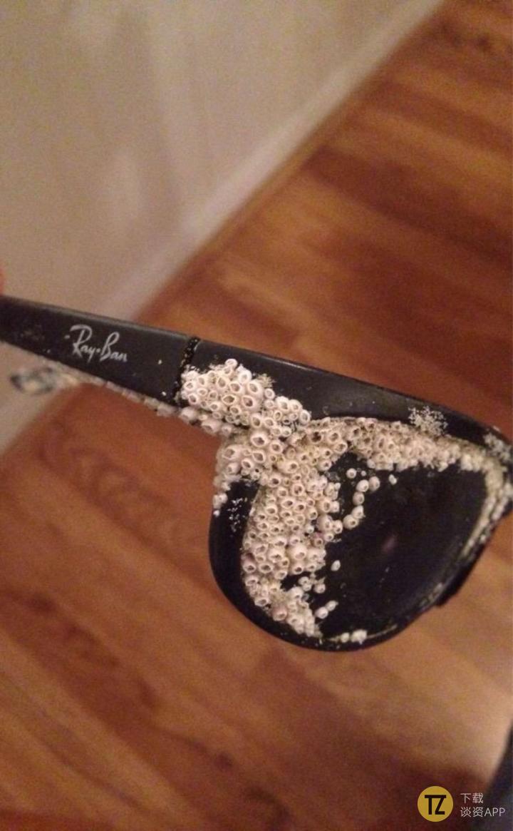 看完这16组图才知道时间有多可怕,看时间长了密集恐惧症都要治好了