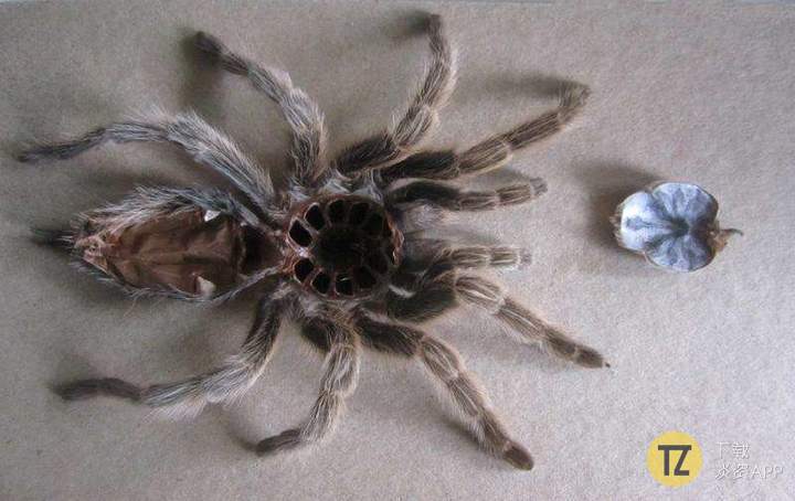 看完这16组图才知道时间有多可怕,看时间长了密集恐惧症都要治好了