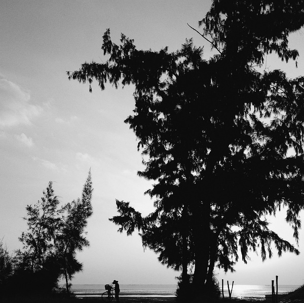 豆瓣日记：草潭往事