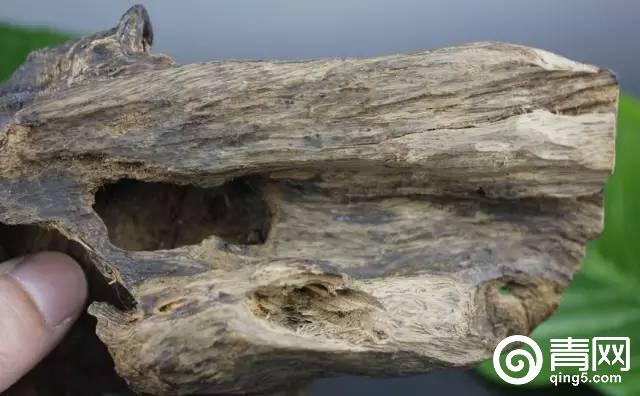 印尼婆罗洲生活,印尼南洋生活