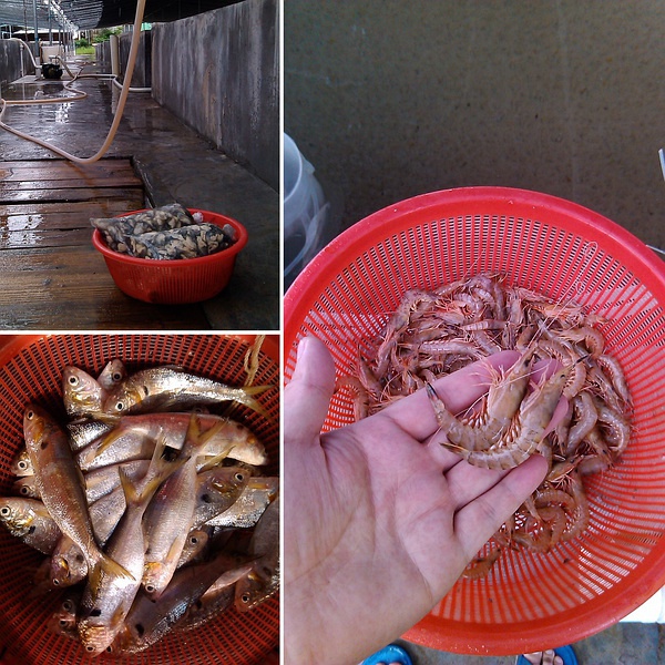 豆瓣日记：草潭往事