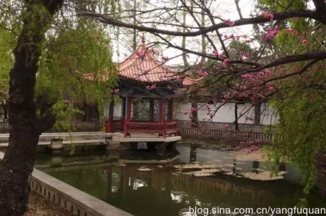 丽江人的朋友圈被这篇《似水流年》刷屏了，完全泪崩！