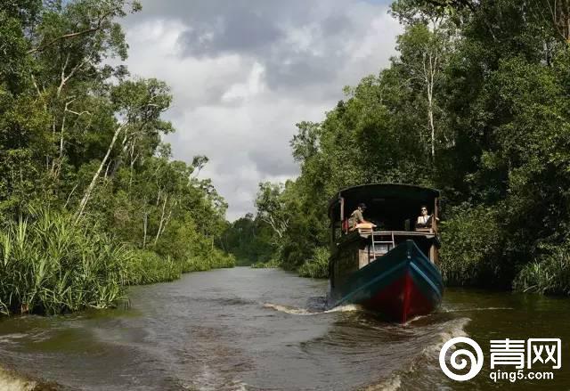 印尼婆罗洲生活,印尼南洋生活