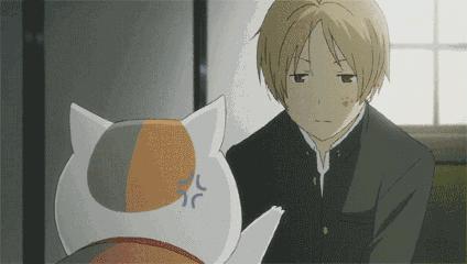 猫咪的几种常见坐姿,猫主子的各种睡姿