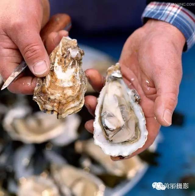2017年霞浦“海鲜年历”出炉，你知道现在该吃什么吗？