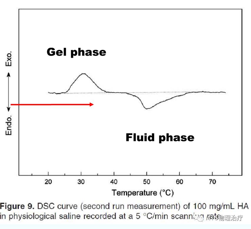 筋膜的润滑液——透明质酸