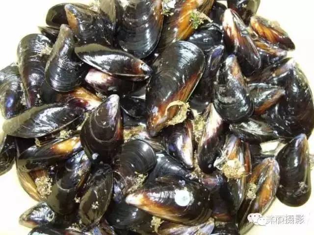 2017年霞浦“海鲜年历”出炉，你知道现在该吃什么吗？