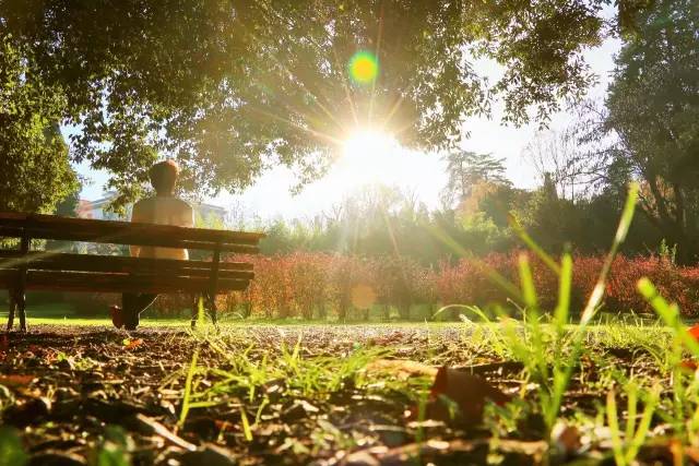 如何申请法国交换生,欧洲交换生