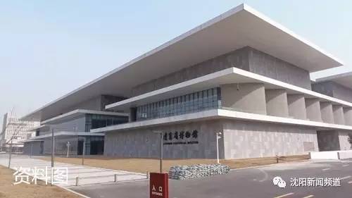 今日沈阳视频,沈阳今日