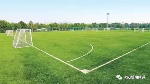 今日沈阳视频,沈阳今日