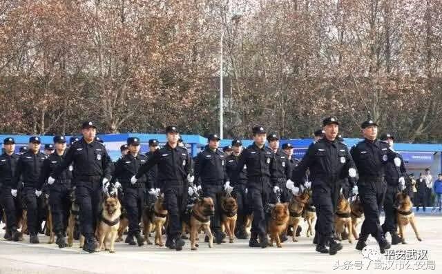 浜哄湪姹熸箹鐪熷疄闀栧眬瑙嗛,浜哄湪闀栧眬