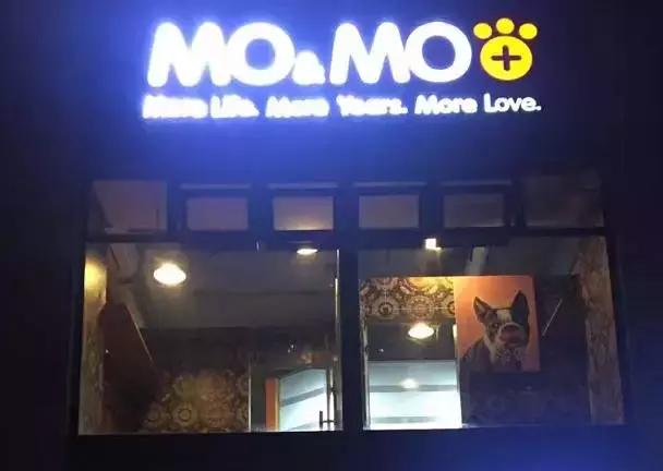 成都宠物寄养基地,成都狗狗寄养