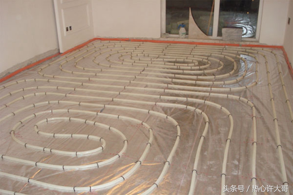 实木地板里面爬出虫子怎么办,装修完家里进虫子