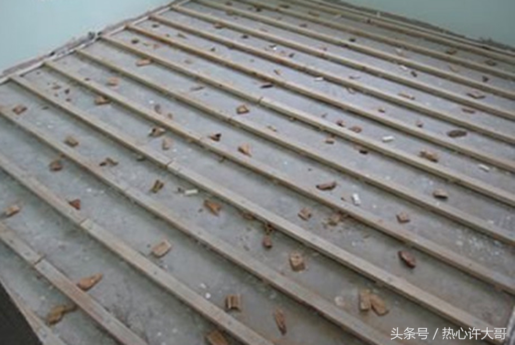 实木地板里面爬出虫子怎么办,装修完家里进虫子