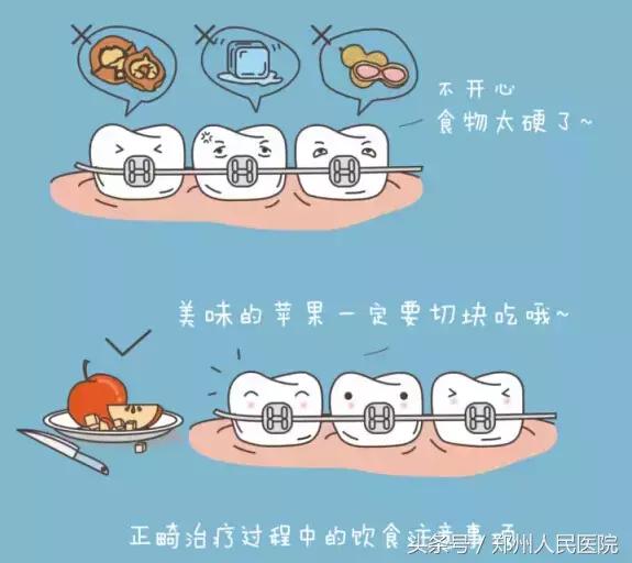 郑医生防脱发,郑医生养生知识大全