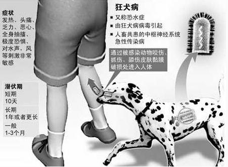 孩子被狗狗抓伤需要打狂犬疫苗吗,孩子被狗抓伤用打疫苗吗