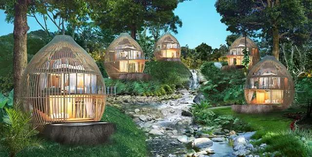 楦熷发搴﹀亣閰掑簵浣撻獙,闅愯棌鍦ㄥ師濮嬫．鏋楃殑娴峰崡楦熷发閰掑簵