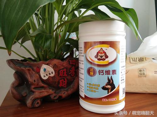 狗狗腿突然瘸了不落地能自愈吗,狗狗走路腿有点瘸跑起来没事