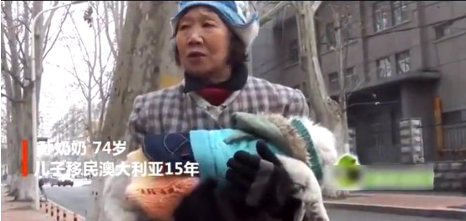 狗狗瘫痪主人坚持治疗,狗狗生病后主人不离不弃陪它康复