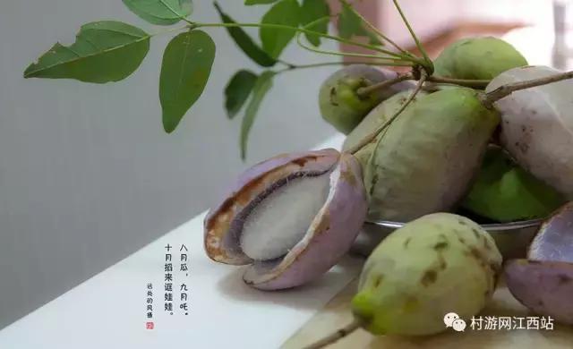 农村五大野果你吃过几种,农村山里的野果有哪些