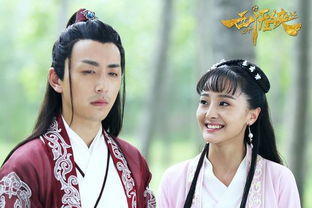 西涯侠电视剧,年度喜剧电视剧