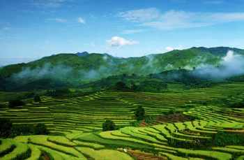 去海南旅游五指山怎么样了,三亚旅游团去五指山