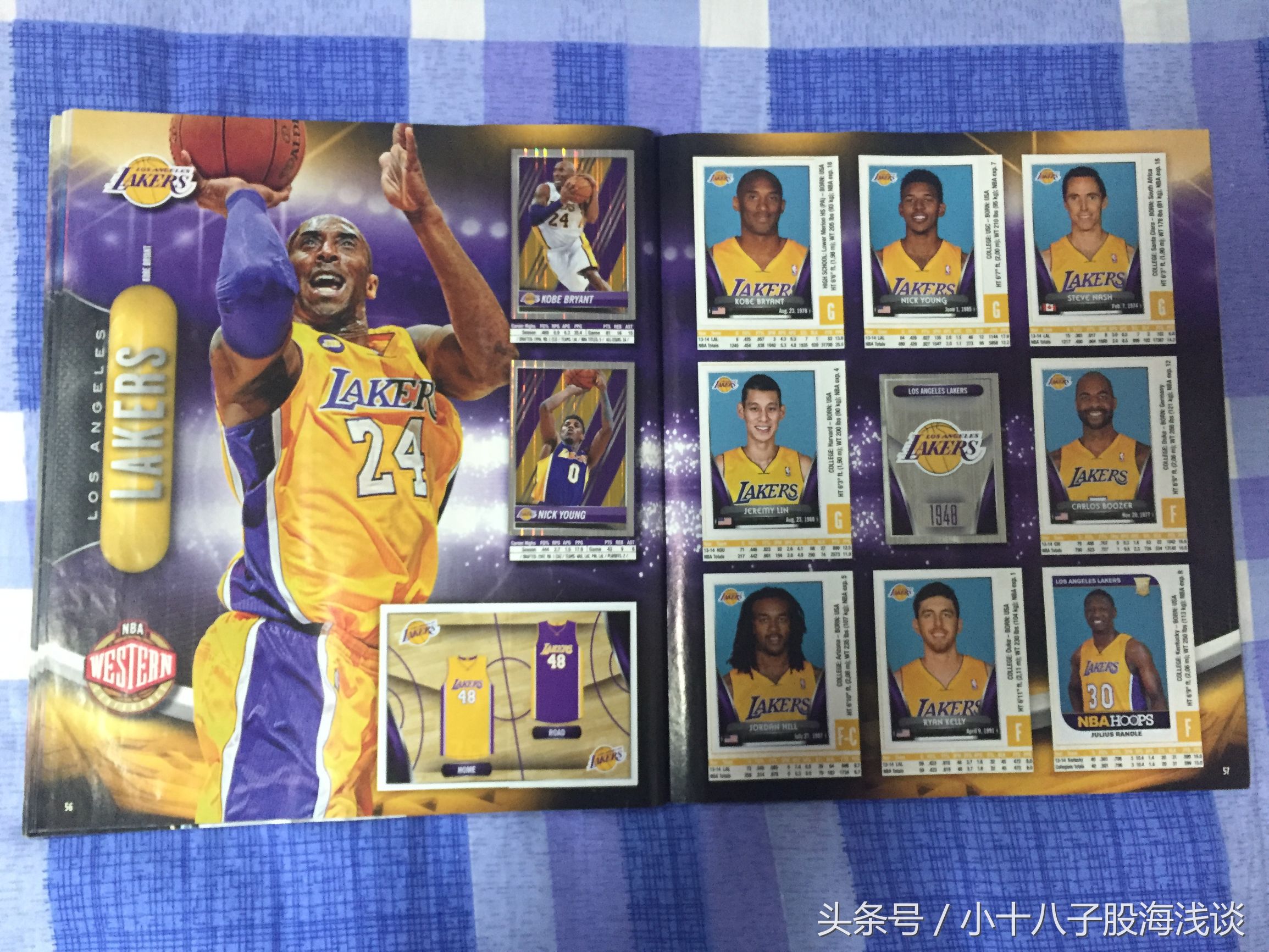 帕尼尼nba贴纸,nba帕尼尼贴纸卡