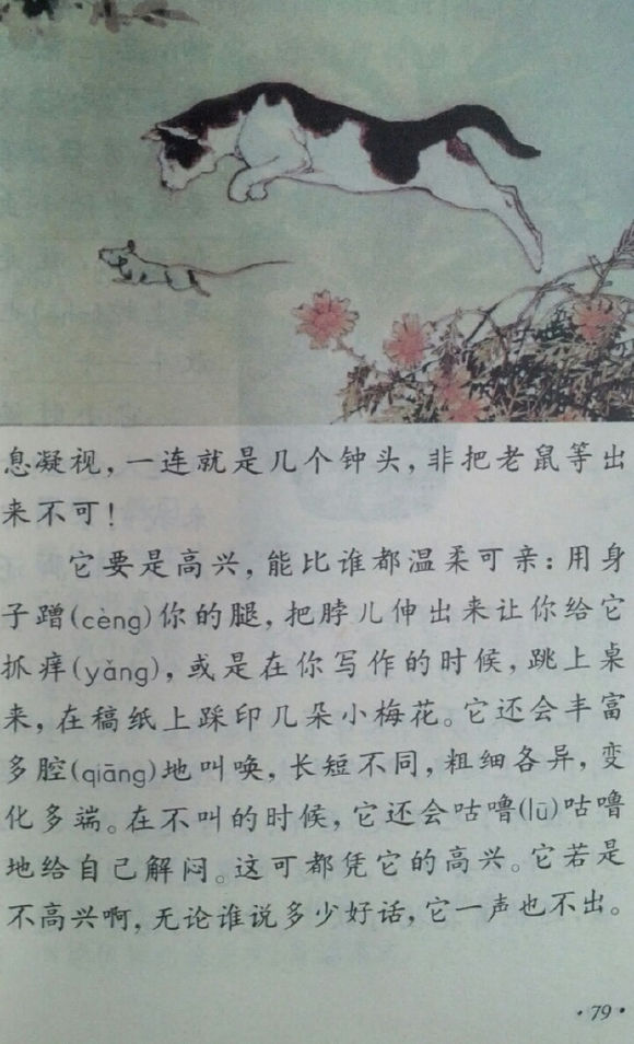 小学四年级，温暖你的童年记忆，老课本的温馨