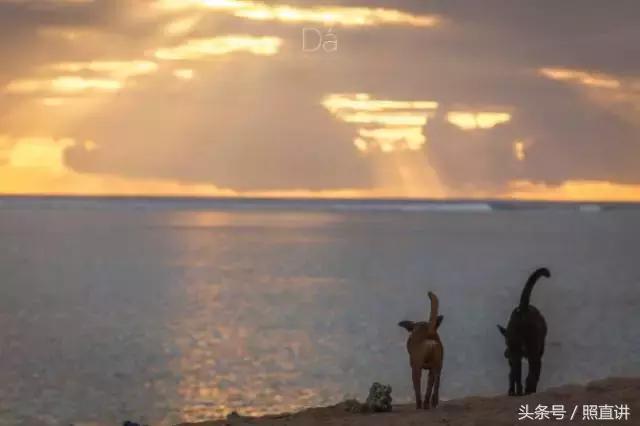 法国留尼汪岛离法国有多远,法国留尼汪岛视频