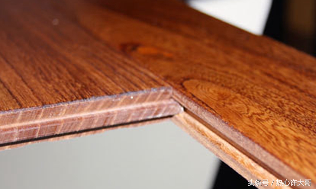 实木地板里面爬出虫子怎么办,装修完家里进虫子