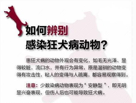 孩子被狗狗抓伤需要打狂犬疫苗吗,孩子被狗抓伤用打疫苗吗