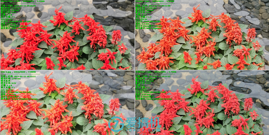 不一样的安卓机,不一样的手机lg