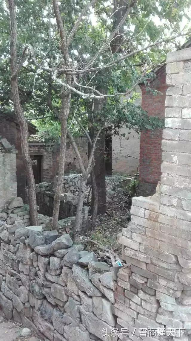 钟灵秀小说,钟灵秀视频