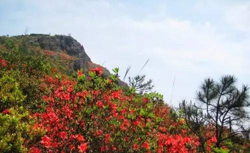 厦门可以爬的山有哪些地方,厦门这些景点你都去过吗
